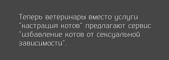 Маркетинг - Ветеринар, Услуги, Кот, Кастрация, Зависимость, Божественный шрифт