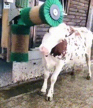   .