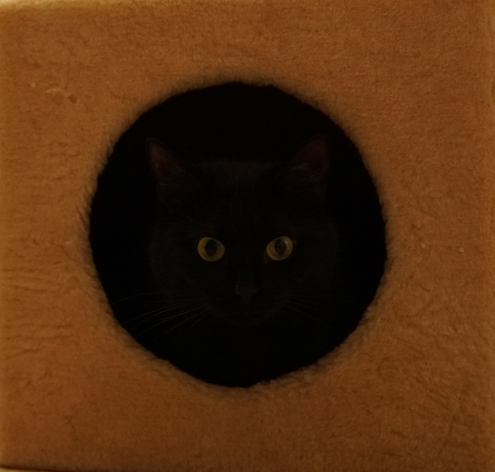 ����� ����!