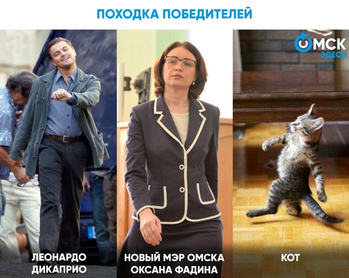 What do DiCaprio, the new mayor of Omsk and the cat have in common? - Omsk, Saratov vs Omsk, Leonardo DiCaprio, The photo