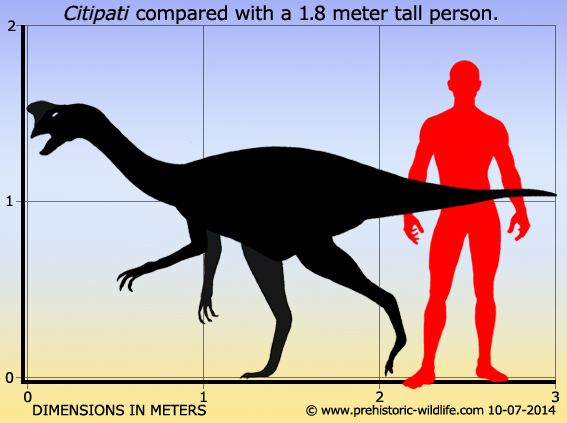Big Mama and all, all... - My, Dinosaurs, Oviraptors, Chitipati, , Fleas, Longpost