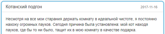 Подборка забавностей 4 - Шайтанометр, Реальная история из жизни, Исследователи форумов