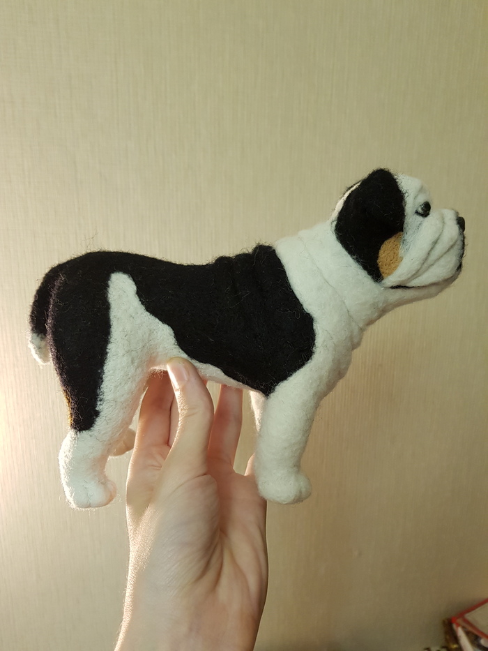 Part.4. The process of creating an interior toy, English Bulldog. To be continued) Author: Maria Sherstobitova. - My, Dog, Bulldog, Wallow, Needlework, Presents, Handmade, Longpost, Needlework with process