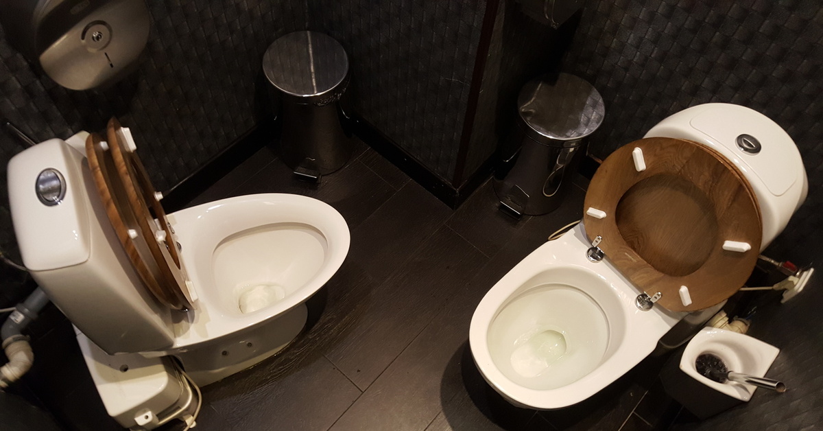 Туалет два раза в день. Две палочки два унитаза. Двухместный унитаз. Унитазы напротив. Несколько унитазов.
