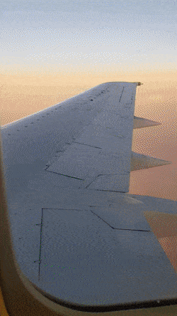 151135207419635712.gif