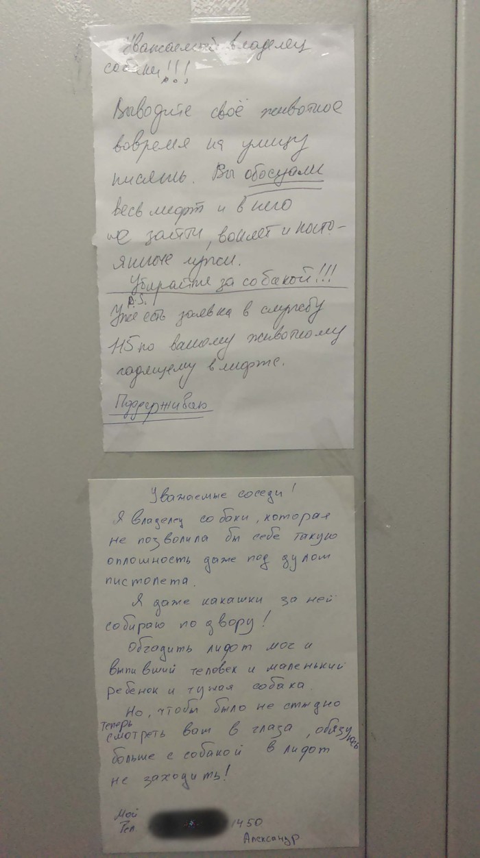 How I proved my case to pen pals in the elevator) - My, Neighbours, Dog, Entrance, Razruhlil, Elevator