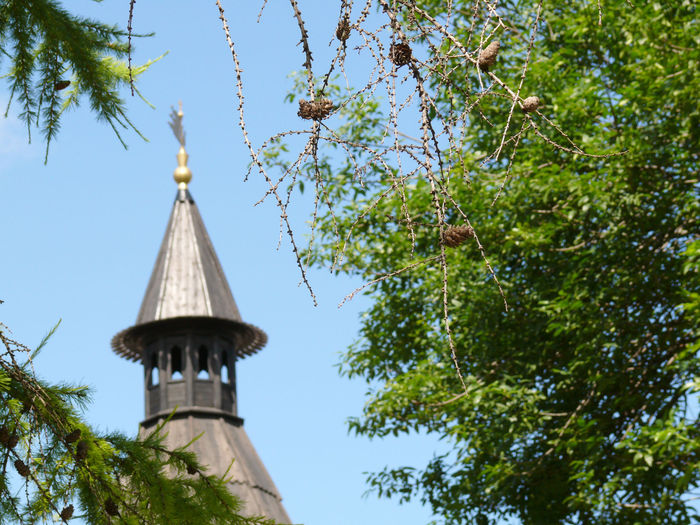 На фоне Тульского кремля