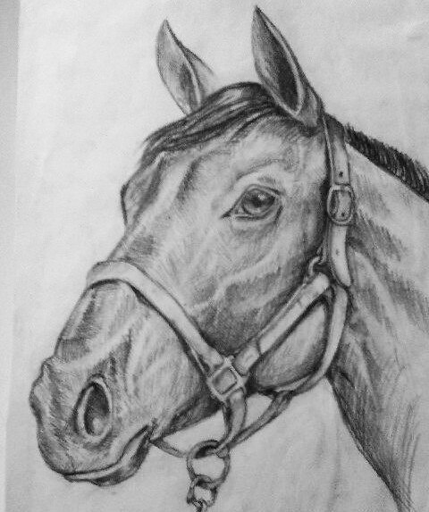 Horse in pencil - My, Art, Pencil drawing