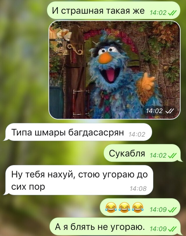 Зелибоба фото персонажа с улицы