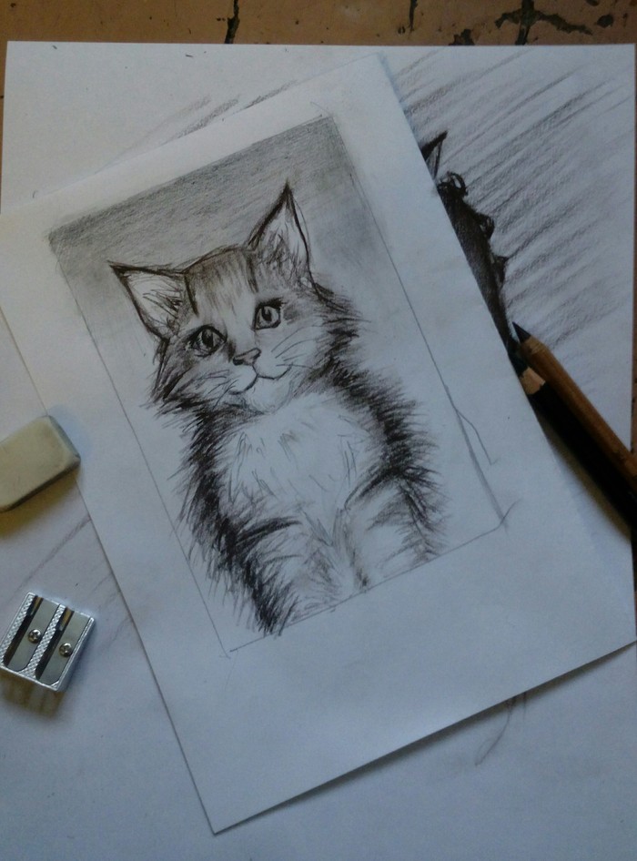 Kitten - My, cat, Drawing, Sepia, Longpost