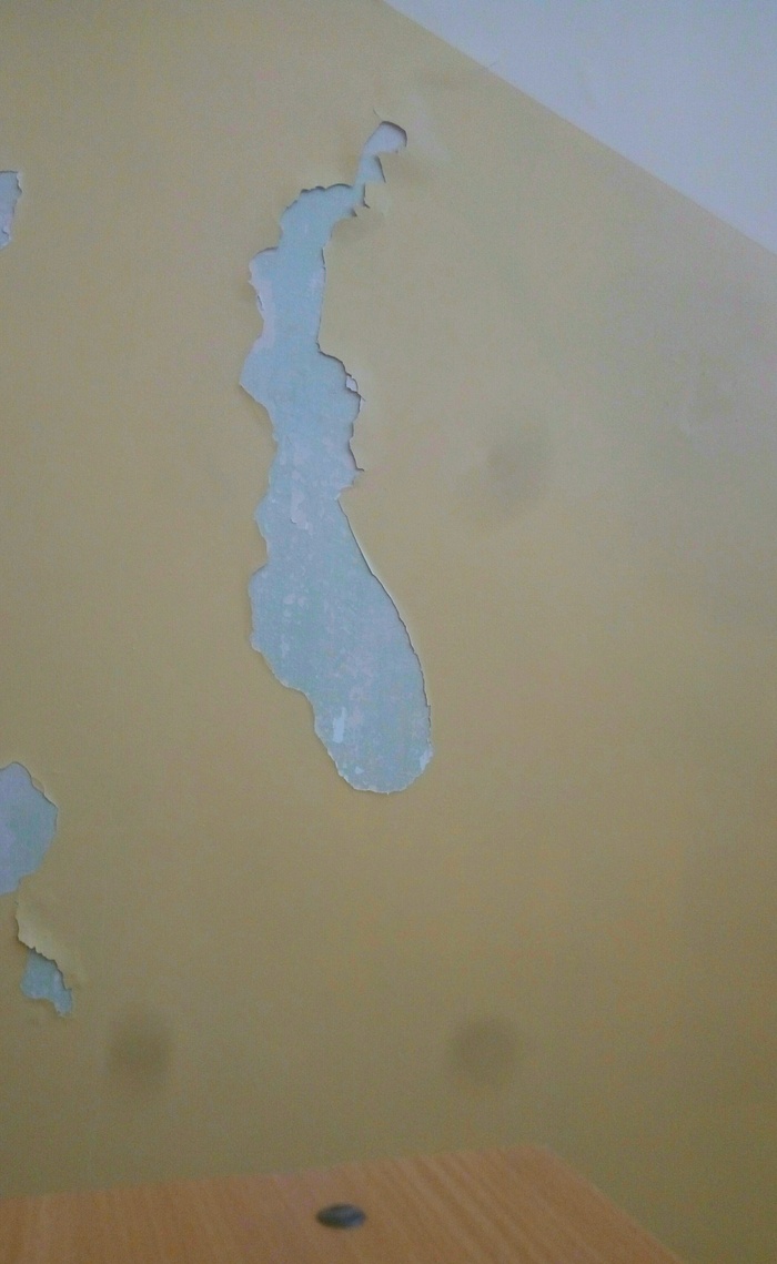 This piece of loose plaster at my university looks like a map of Norway. - The photo, Plaster, World map, Outlines