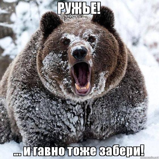 In the Ust-Ilimsk region, a bear took two guns from a hunter's winter hut - The Bears, Gun, Hunter, Ust-Ilimsk