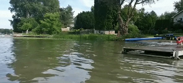 Скорей бы лето