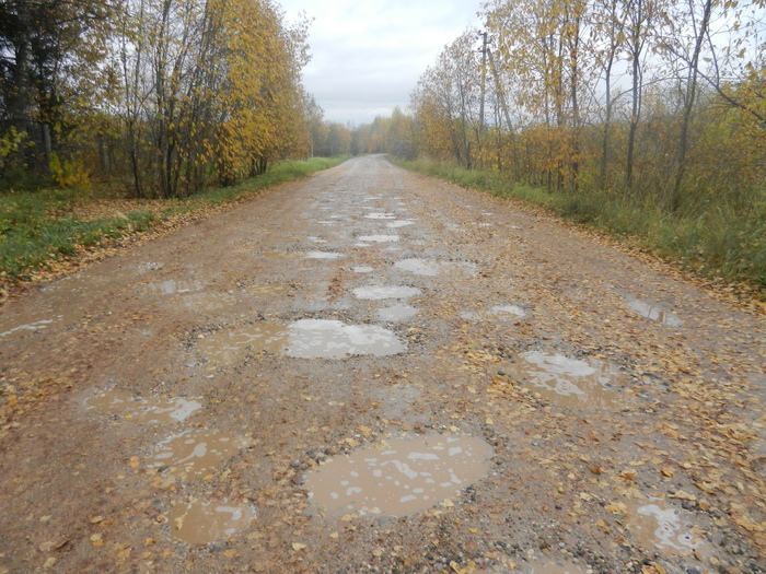 Please help collect votes for the road repair. Road repair and improvement project in 2018 - My, Go Shakhovskaya, Подмосковье, Internet Portal Dobrodel