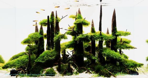 Оригинальный скейп