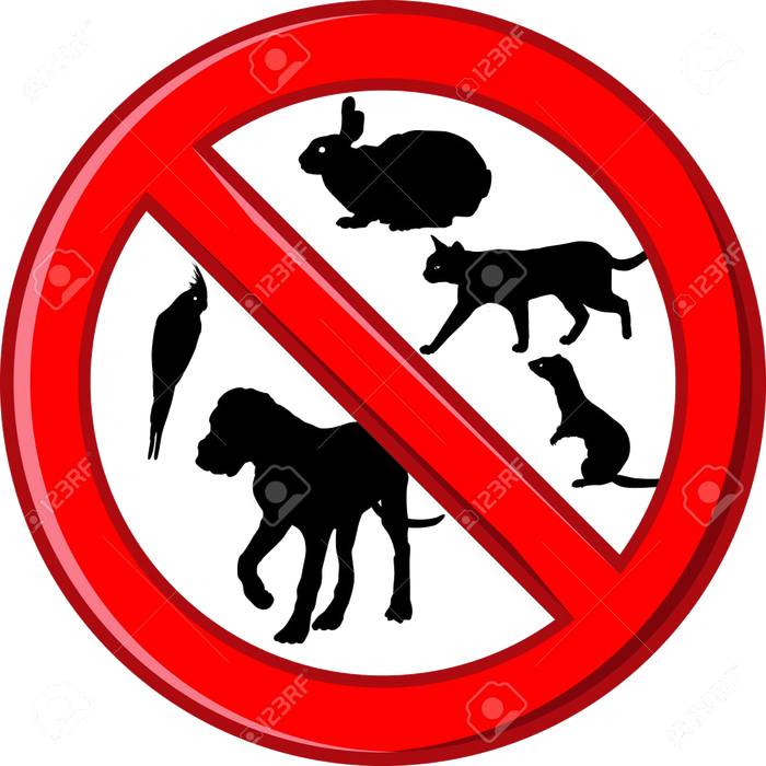 Почему животных нельзя убивать?