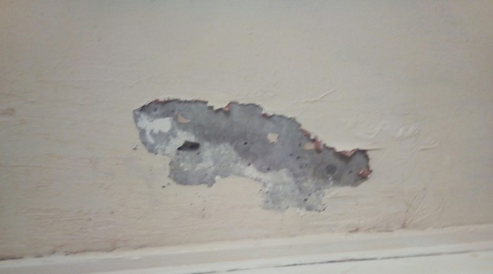 Peeled off paint - Otter, Wall painting, My