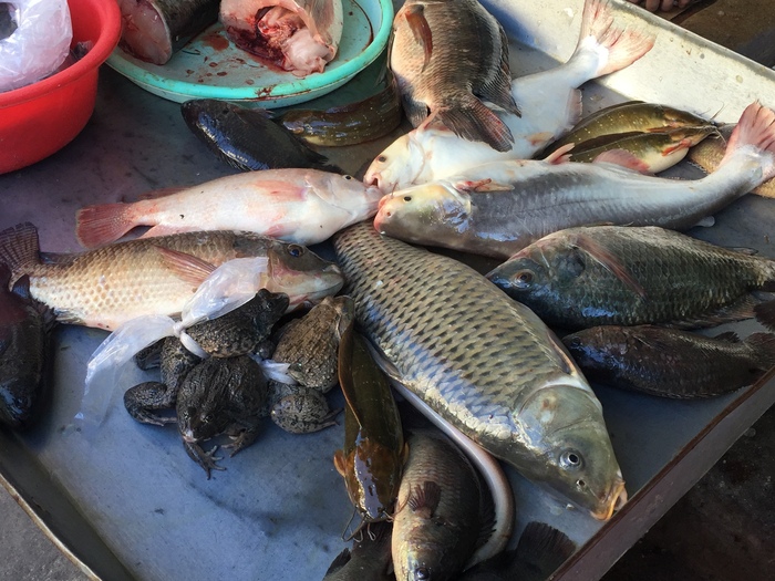 ��� ������� ��� ����?