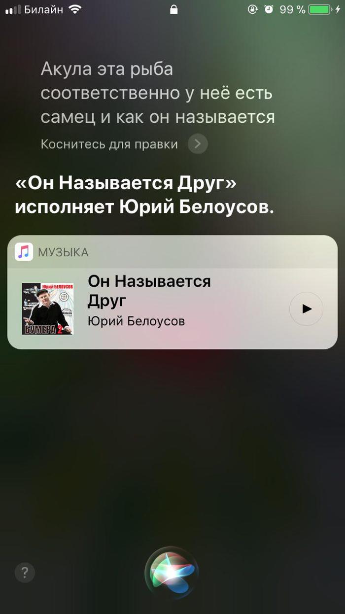 Спасибо, Siri - Моё, Siri, Русская siri, Скриншот, Акула