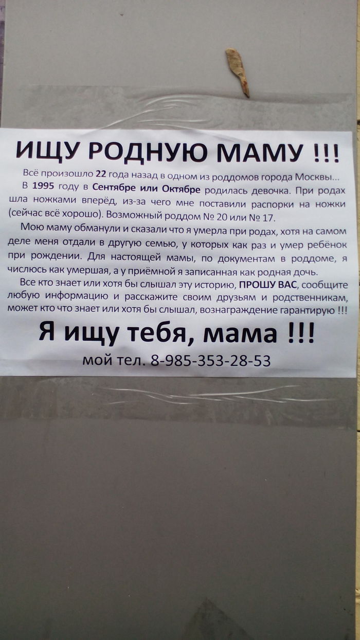 ���� ���� �� ������.