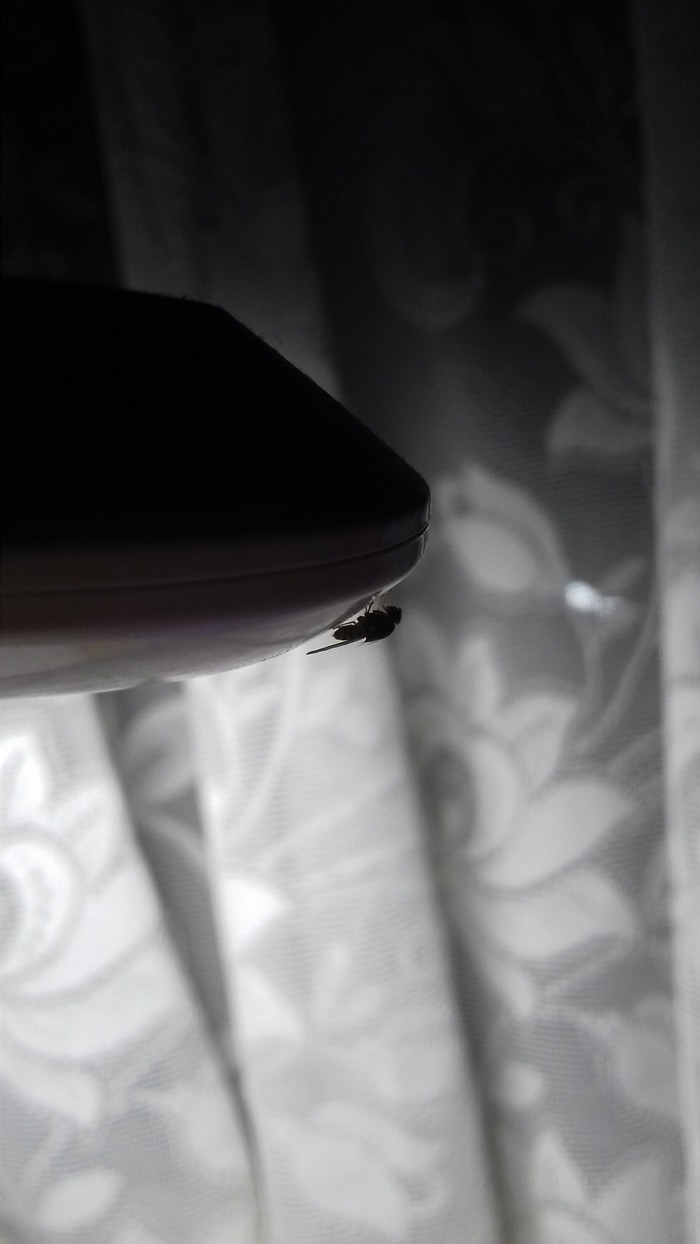 ������� ��������� �������� :�