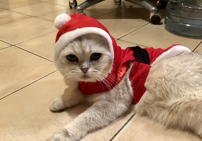 ��� ������� ����� �������