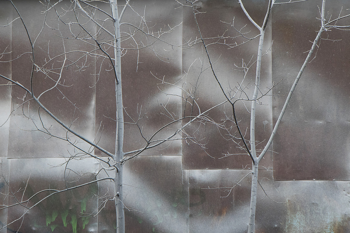 "Ноябрьские краски".