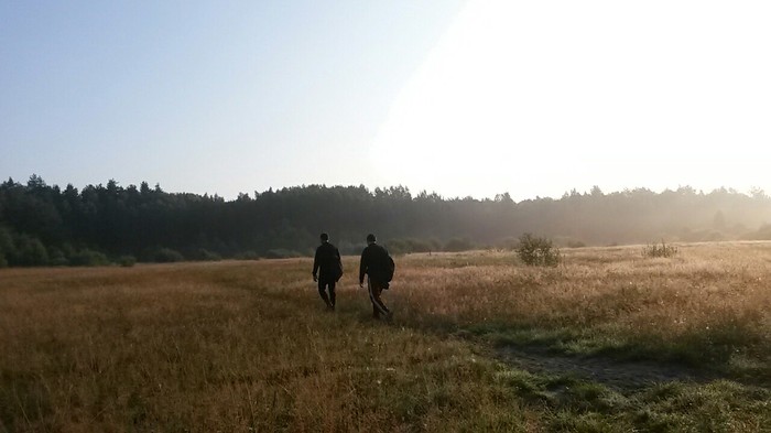 Early morning in the fields somewhere in the Ramensky district - My, Photo on sneaker, Mobile photography, 