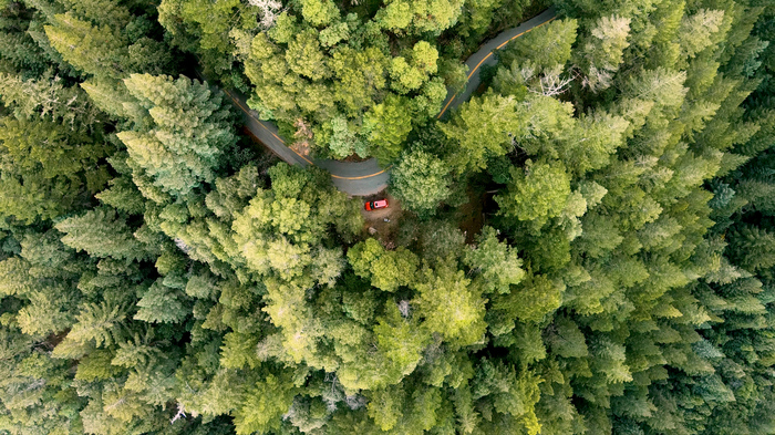 ������� �������� ����������