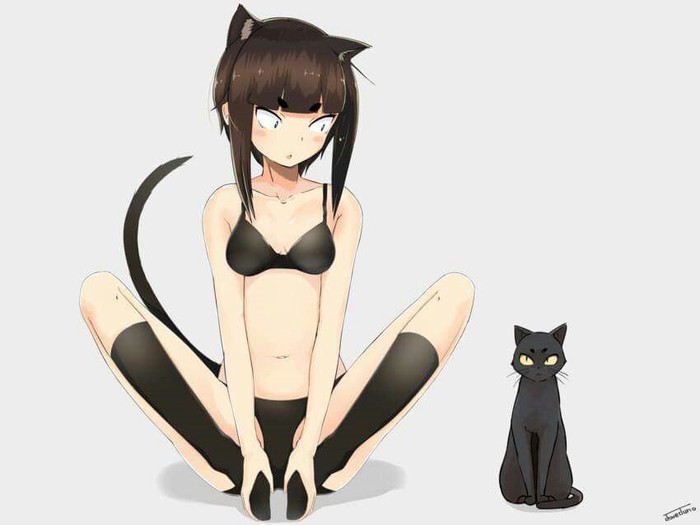 #anime_art - Anime, Anime art, , Neko