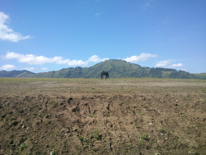 beauty - My, The photo, Horses, The mountains