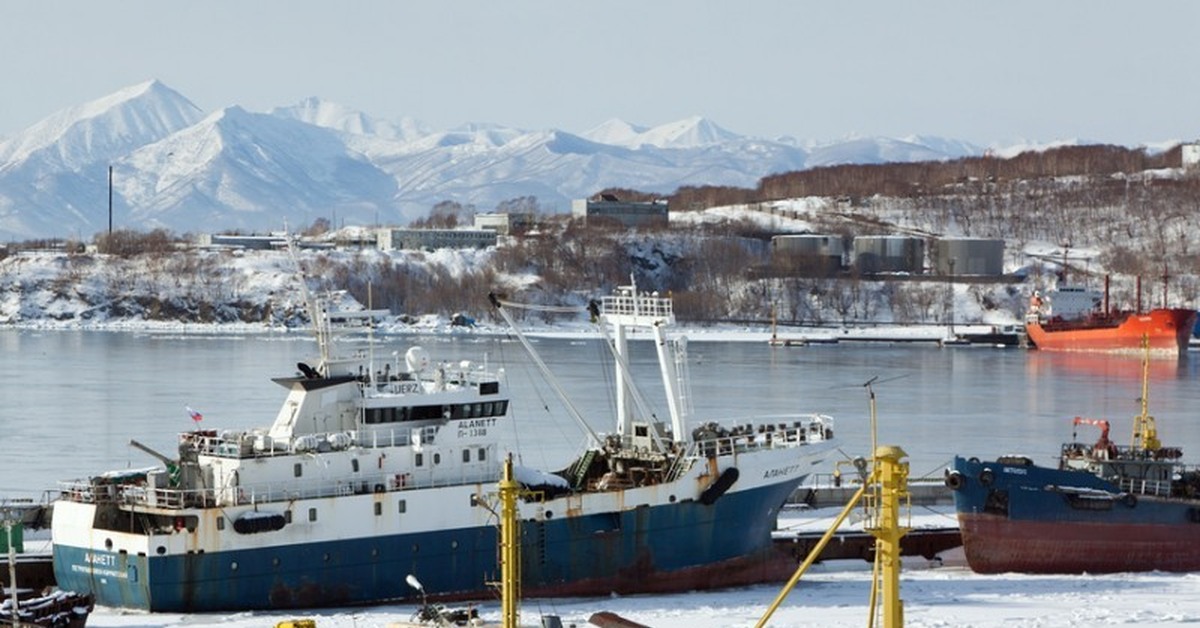 Сетевой 41 петропавловск камчатский