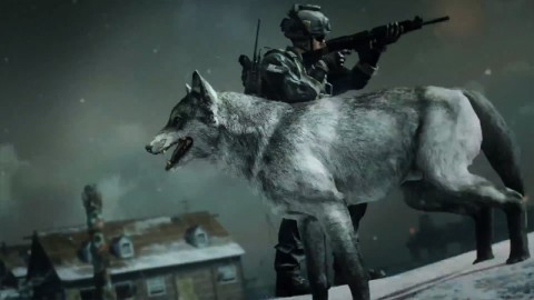 Издатель Call of Duty поссорился с чистильщиками отходов - Компьютерные игры, Юмор, Курьез