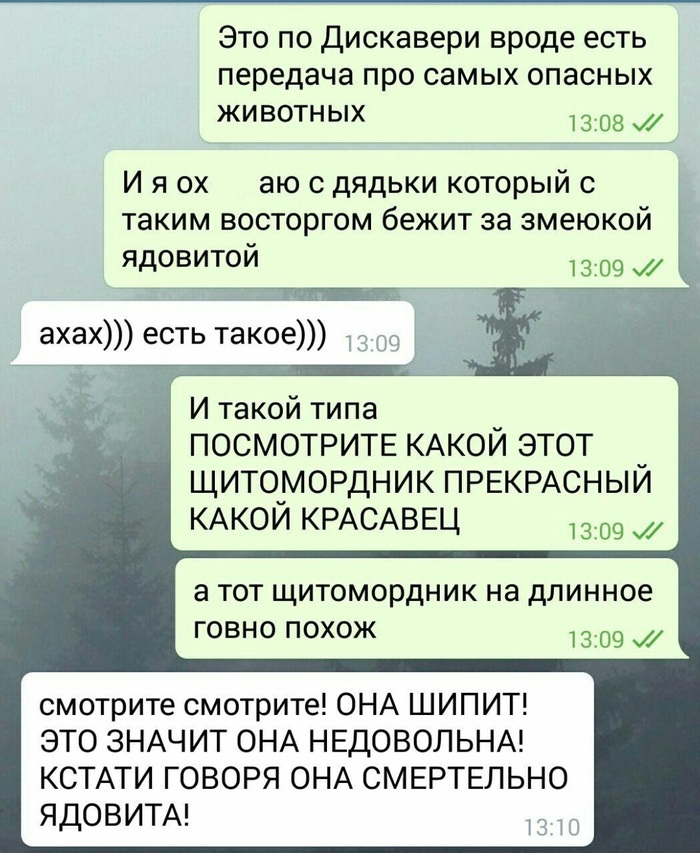 Эх Ирвин, Ирвин...а он был хорош! - Моё, Animal planet, Опасные животные, Стив Ирвин