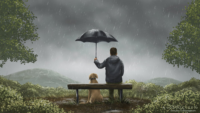 Summer Rain - Art, Drawing, Dog, Rain, 