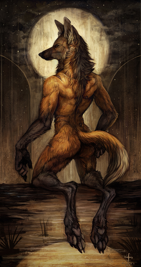 Water - NSFW, Furotica male, Furry, Art, Simul, Night