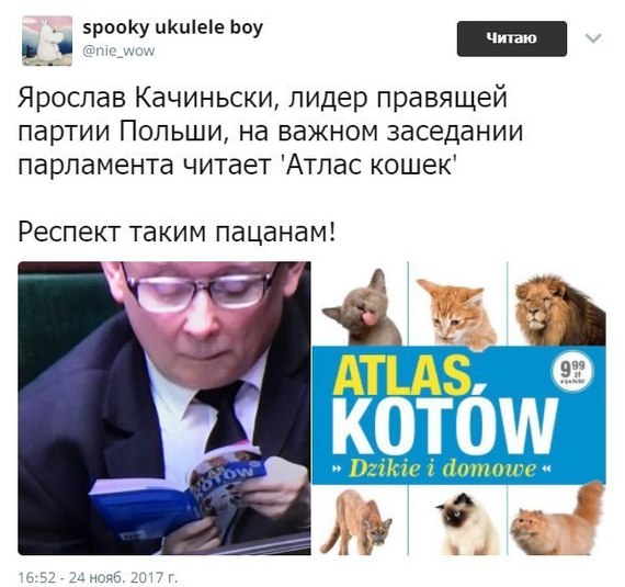 Polish politician at a meeting of the Sejm reads Atlas of cats - Poland, cat