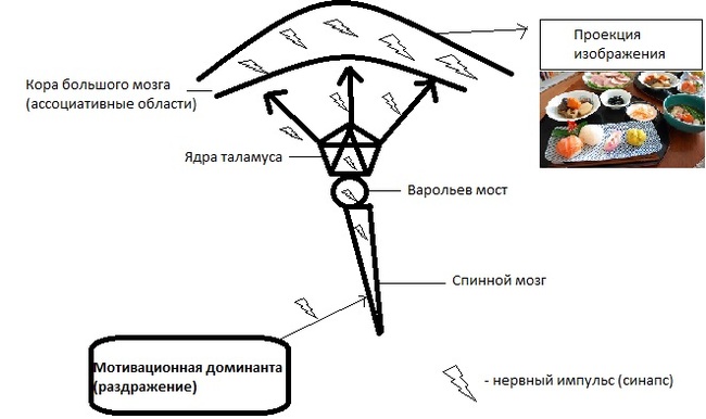 Откуда берутся сны | Пикабу