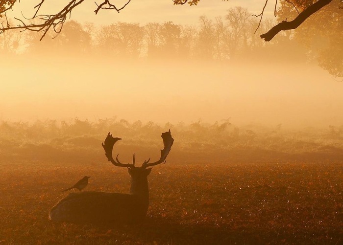 На рассвете.