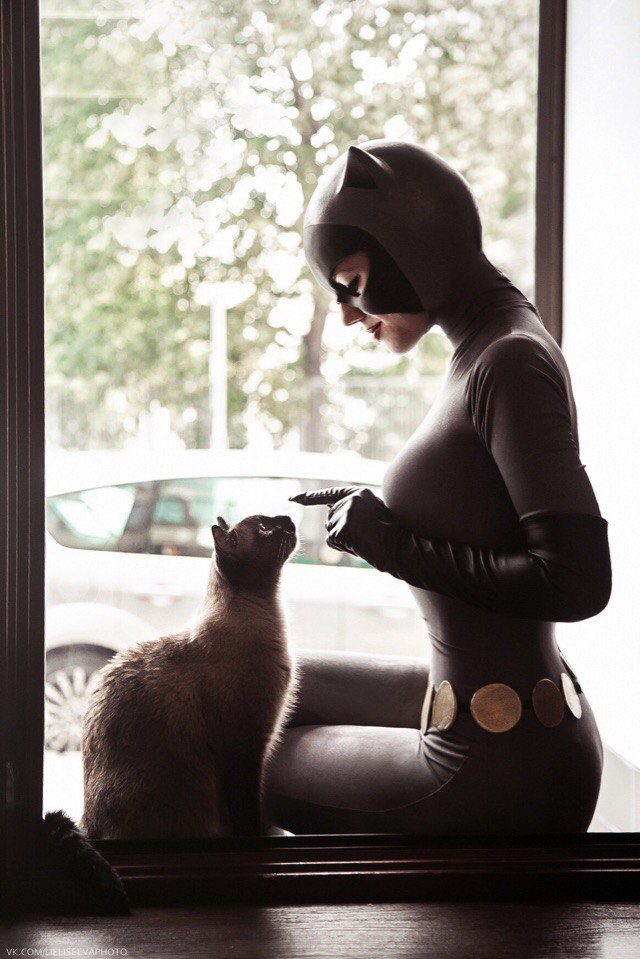 kitties - Cosplay, Girls, cat, Catwoman, The photo