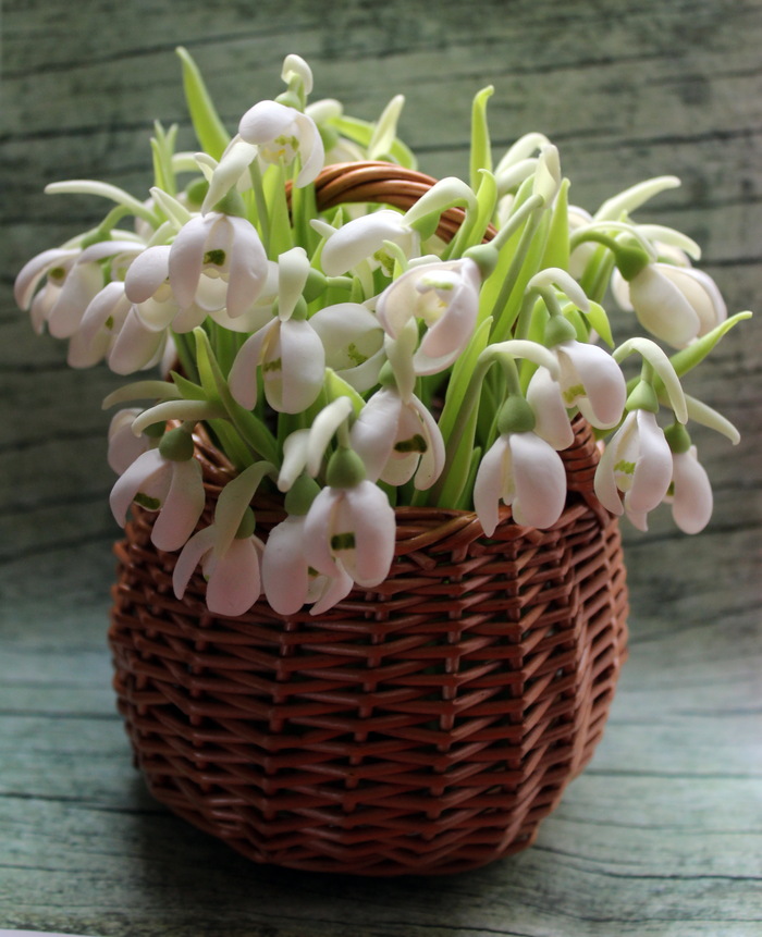 basket of snowdrops - My, Snowdrops, Polymer floristry, Лепка, Polymer clay, Longpost, Snowdrops flowers