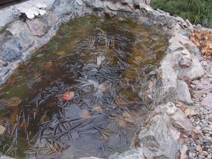 Frozen Pond! - My, Nature, Winter, Longpost