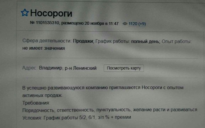 Кто это? - Носорог, Работа, Кто это?