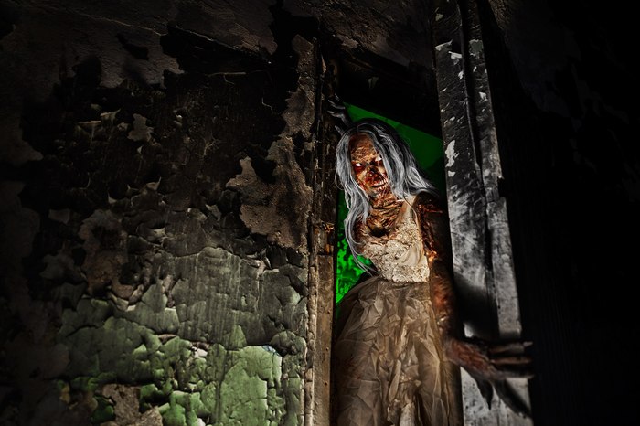 Ellin Muller, Zombie photo shoot - My, , Zombie, , Horror, Halloween, Fashion model, Cosplay, Longpost