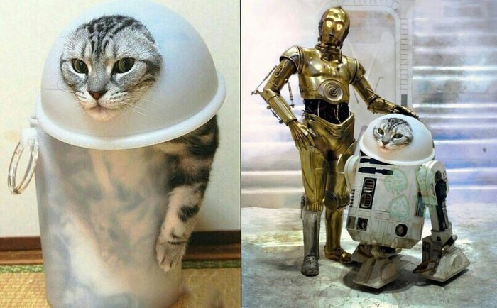 ? ? , , R2-D2,   , ,   