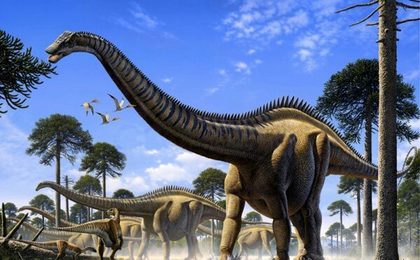Картинки по запросу Диплодок динозавр фото