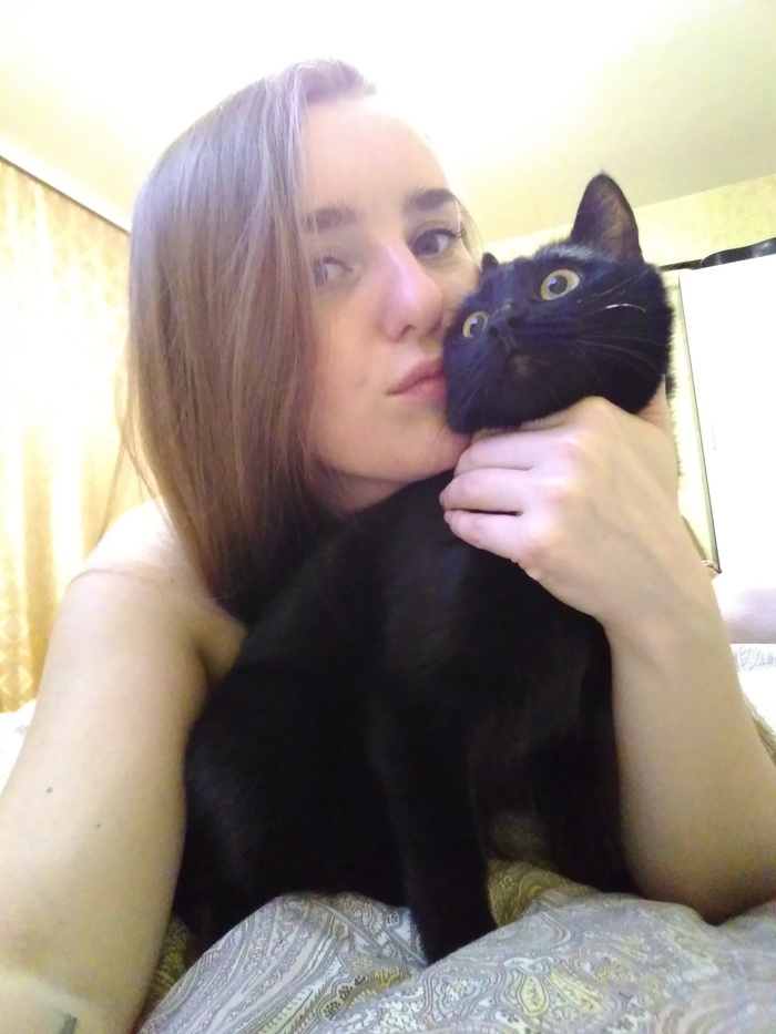 The cat madly loves to take pictures with his wife! - My, , cat, Wife, Strawberry