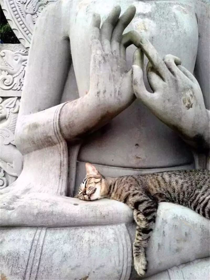 Nirvana - cat, The statue, Buddhism, Nirvana, Dream, Sculpture, Buddha, Lotus position, The state of nirvana, Mudra