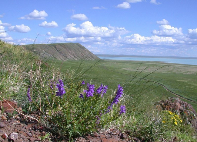 Landscapes of Dauria - Nature, Russia, Reserves and sanctuaries, Dauria, beauty of nature, Nature photo, Longpost