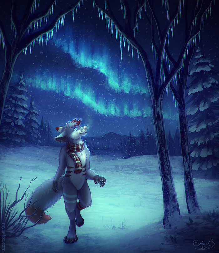 Winter, night, forest, shine - Furry, Art, Anthro, Mylafox